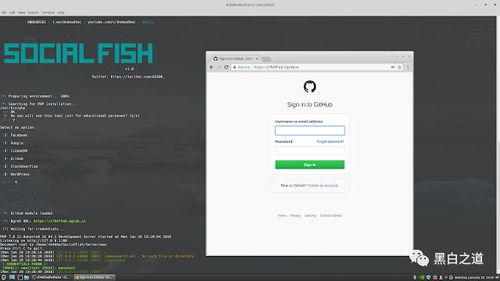 2024版最新最佳黑客工具大全 非常詳細(xì) 零基礎(chǔ)入門(mén)到精通,收藏這一篇就夠了