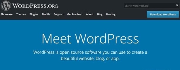 為什么我選擇 WordPress 來建站？深入解析 9 大核心理由